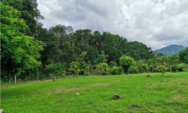 SE VENDE FINCA EN BEJUCO CHAME 10 HECTAREAS CERCA A LA INTERAMERICANA