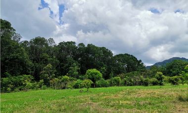 SE VENDE FINCA EN BEJUCO CHAME 10 HECTAREAS CERCA A LA INTERAMERICANA