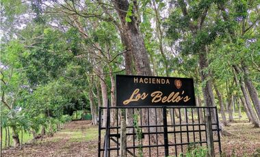 SE VENDE FINCA EN BEJUCO CHAME 10 HECTAREAS CERCA A LA INTERAMERICANA