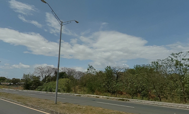 LA MESA DE VERAGUAS / TERRENO COMERCIAL / 15000M / VIA INTERAMERICANA