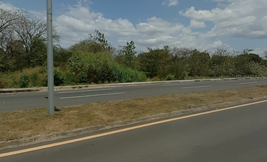 LA MESA DE VERAGUAS / TERRENO COMERCIAL / 15000M / VIA INTERAMERICANA