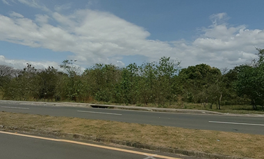 LA MESA DE VERAGUAS / TERRENO COMERCIAL / 15000M / VIA INTERAMERICANA