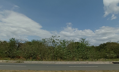 LA MESA DE VERAGUAS / TERRENO COMERCIAL / 15000M / VIA INTERAMERICANA