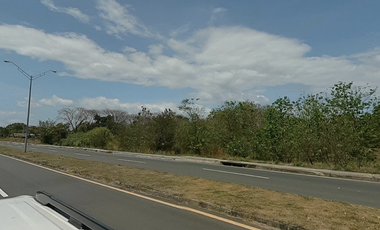 SE VENDE TERRENO COMERCIAL EN LA MESA DE VERAGUAS VIA INTERAMERICANA