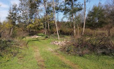 Parcela en venta en CHILLÁN