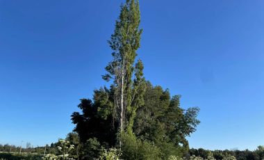 Parcela en venta en CHILLÁN