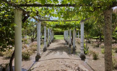 Casa en venta en RENGO