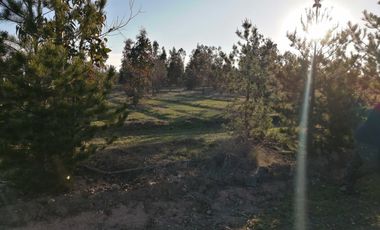 Parcela en venta en LA ESTRELLA