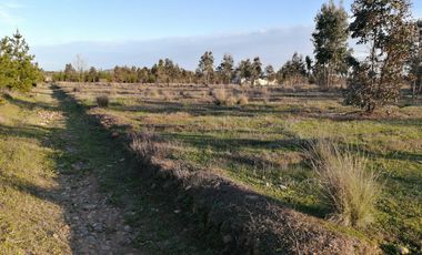 Parcela en venta en LA ESTRELLA