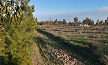 Parcela en venta en LA ESTRELLA