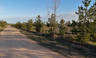 Parcela en venta en LA ESTRELLA