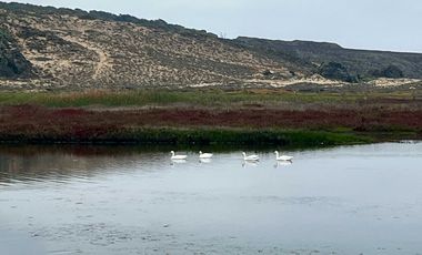 Casa en venta en LA LIGUA