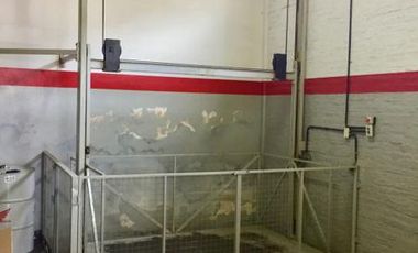 Deposito de primera calidad  en venta - Luis Guillon