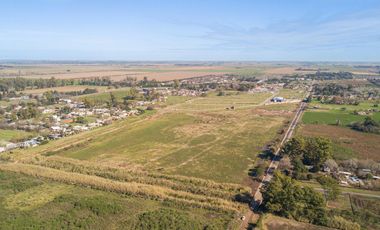 TERRENO EN CAMPO MADERO 2 , IBARLUCEA