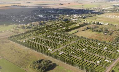 Venta terreno Ibarlucea el naranjo