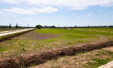 Terreno 429 m2  - General Lagos - EcoLagos Este - Distrito Cero