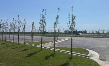 Terreno - La Alameda