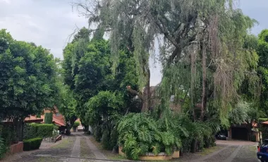 Casa en venta en Barrio San Francisco, La Magdalena Contreras, Ciudad de México