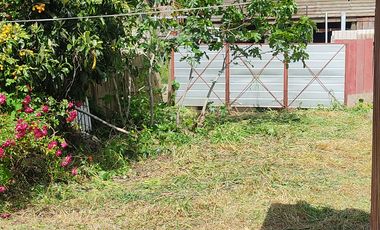 GRAN PROPIEDAD EN SECTOR CENTRICO DE CONSTITUCION