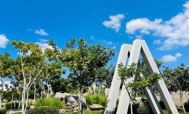 Departamento en Renta en Zimaltá