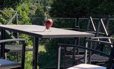 Casa - Terrazas del Polo - Arelauquen