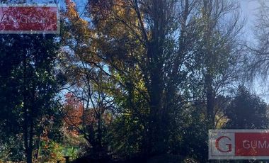 Casa en Alquiler  Verano a mts de San Matias jardin pileta deck s/ lote de 1500 m2- No es B Cerrado