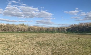 Depósito sobre Colectora Panamericana y Buen Ayre - Don Torcuato