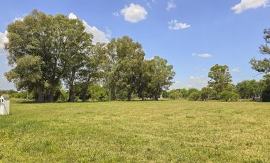 Lote en Venta en San Vicente Breeze