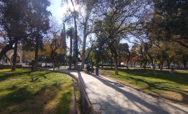 Departamento en Venta - Calle Rivadavia - Segunda Seccion