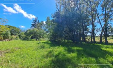 Chacra en venta de 2 has en Hudson, a metros de acceso Autovía Bs.As - La Plata