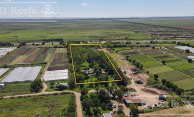 Chacra en venta de 2 has en Hudson, a metros de acceso Autovía Bs.As - La Plata