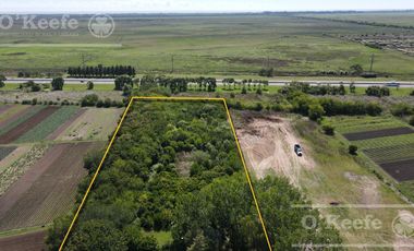 Chacra en venta de 2 has en Hudson, a metros de acceso Autovía Bs.As - La Plata