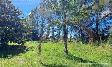 Chacra en venta de 2 has en Hudson, a metros de acceso Autovía Bs.As - La Plata