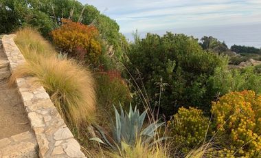 ARRIENDO POR DIA Casa caminando a las cujas en Cachagua