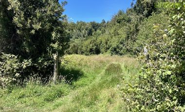 Parcela en Venta en Rio pescado km 6, a 30 min de Puerto Varas