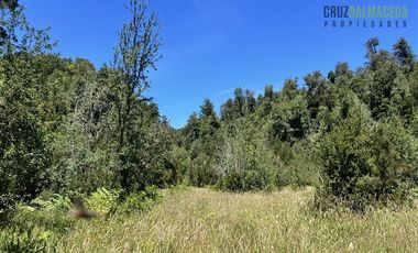 Parcela en Venta en Rio pescado km 6, a 30 min de Puerto Varas