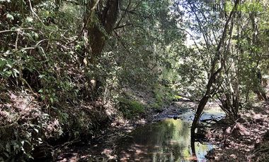 Parcela en Venta en Rio pescado km 6, a 30 min de Puerto Varas