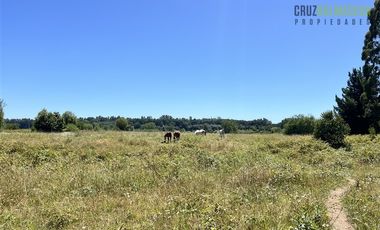 Agrícola en Venta en Subdividido en 6 parcelas, orilla Río Calle Calle a 20 minutos de Valdivia