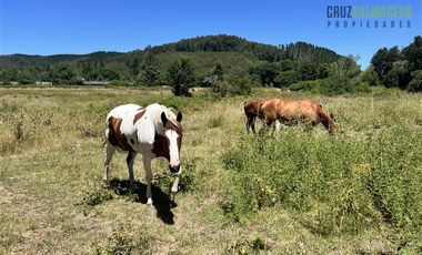 Agrícola en Venta en Subdividido en 6 parcelas, orilla Río Calle Calle a 20 minutos de Valdivia