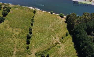 Agrícola en Venta en Subdividido en 6 parcelas, orilla Río Calle Calle a 20 minutos de Valdivia