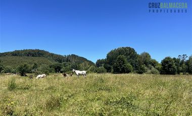 Parcela en Venta en Subdividido en 6 parcelas, orilla Río Calle Calle a 20 minutos de Valdivia