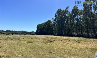 Parcela en Venta en Subdividido en 6 parcelas, orilla Río Calle Calle a 20 minutos de Valdivia