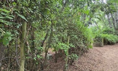 Casa en Venta en loteo en camino a vilches