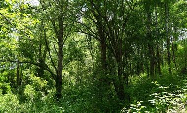 Parcela en Venta en villarrica