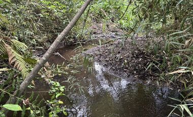 Parcela en Venta en villarrica