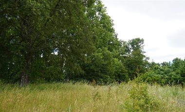 Parcela en Venta en villarrica