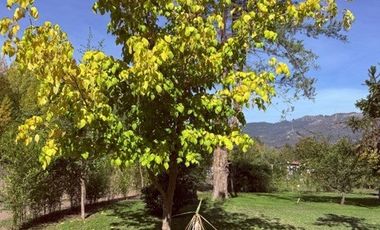 Casa en Venta en Rari