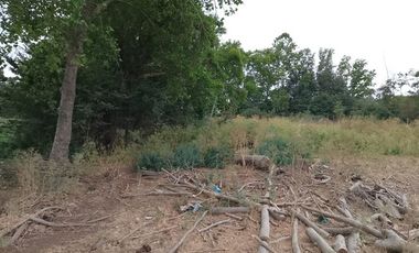 Parcela en Venta en Camino principal interno Bosques Santa Cecilia