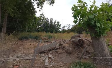 Parcela en Venta en Camino principal interno Bosques Santa Cecilia