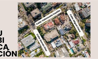 Local Comercial en Arriendo en Román Díaz con Valenzuela Llanos
